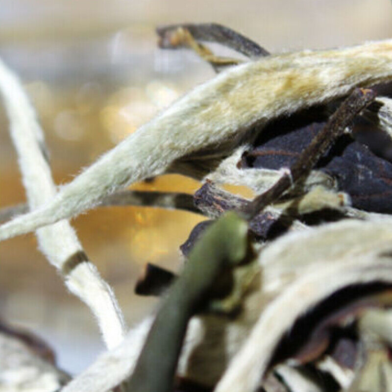 HelloYoung 100g Yunnan Jing Gu Puer Moonlight White Buds Pu'er Loose Leaf Puerh Tea Cha