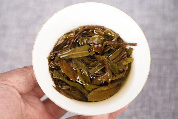 HelloYoung High Quality Yunnan Tea Yiwu 357g Raw Tea Cake 云南茶叶 易武凤凰窝 357克生茶饼