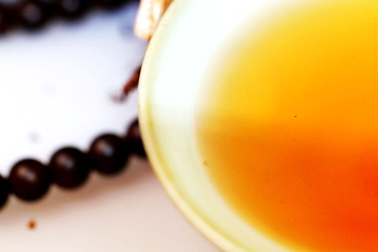HelloYoung250g Puer Tea Tree Old Shu Puer Tea Agilawood Tambac Healthy China Puerh Tea