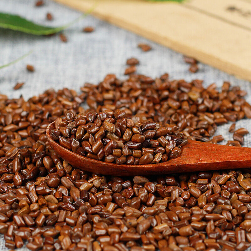 Chinesische gesunde Kräuter Bulk Cha Cassia Samen juemingzi 500g