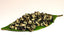 HelloYoung100g Promotion Green Tea Top Grade Biluochun Tea Chinese Green Food Healthy Tea