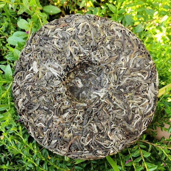 HelloYoung Jingmai Ancient Tree Pu'er Tea Gift Tea Spring Tea Pu'er Tea Cake 357g