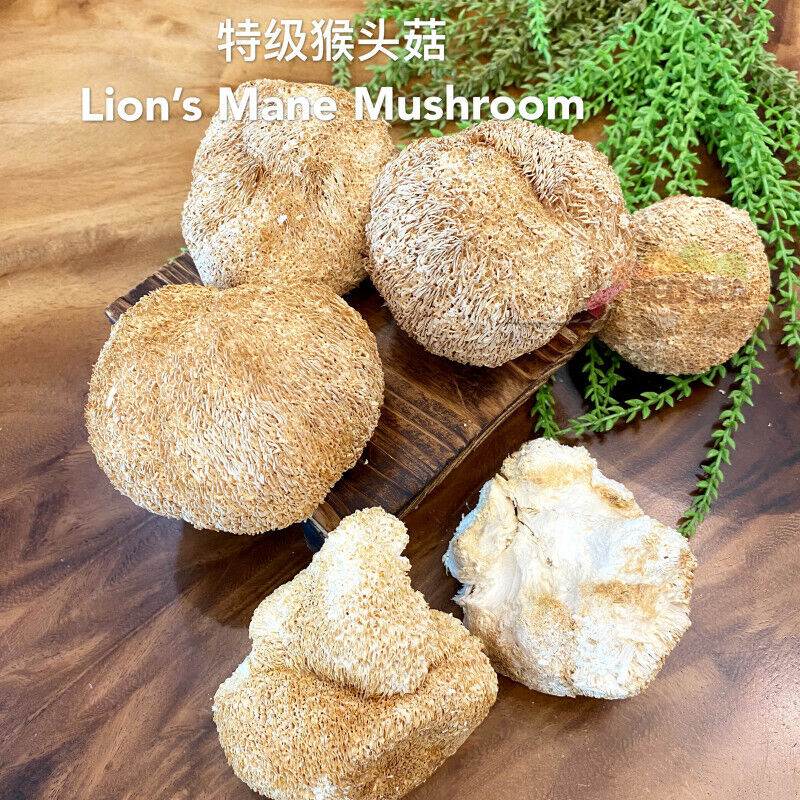 HelloYoung Premium Lions Mane Mushroom Hericium Erinsceus Mushroom Chinese Dried Goods 250g Main image