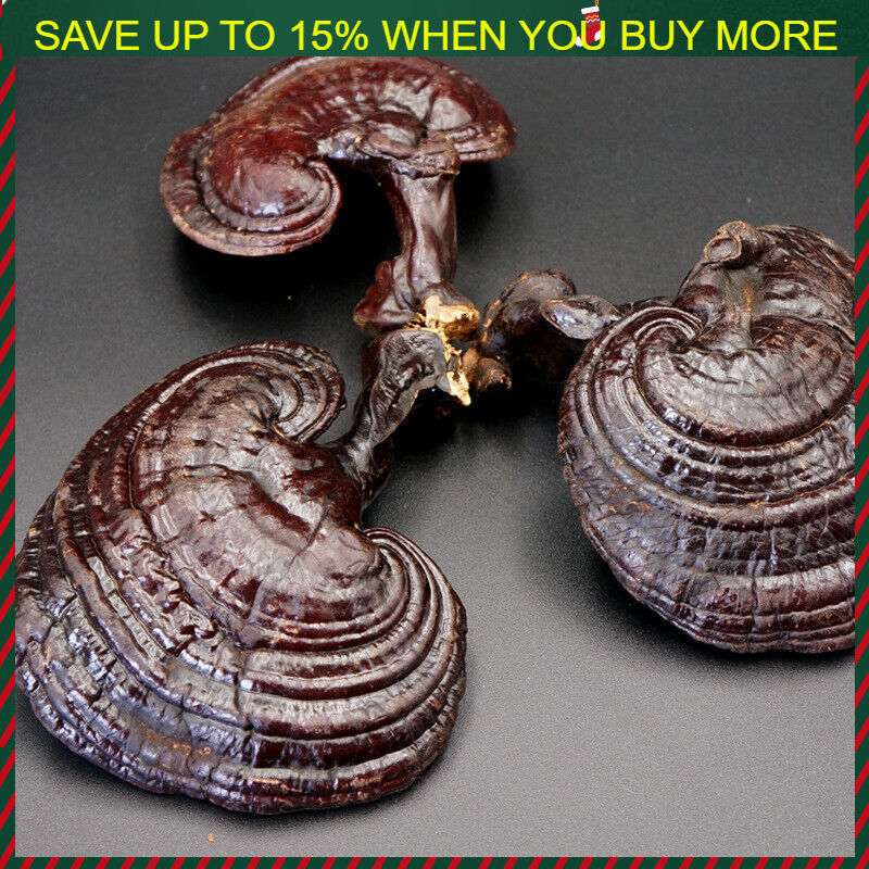500g Reishi Soup Purple Ganoderma Lucidum Wild Lingzhi Mushroom Herbs Main image