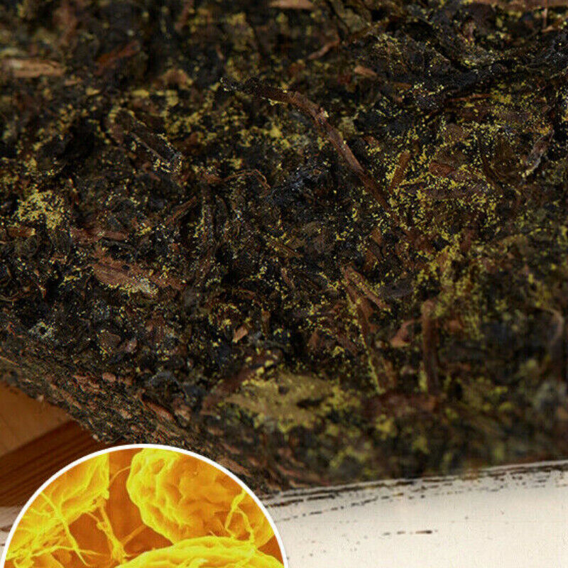 HelloYoung Hei Cha Fu Tea Brick Hunan Fu Tea Fucha Special Made Yiyang Anhua Dark Tea 300g
