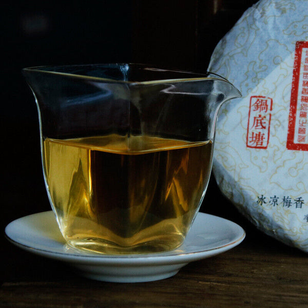 HelloYoung Plum turnip potted pond ancient tree raw tea cake cold plum aroma and deep charm