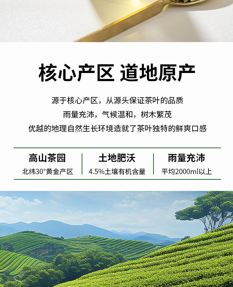 2024 Spring Harvest (Pyramid Bags) Premium Hangzhou Longjing Tea