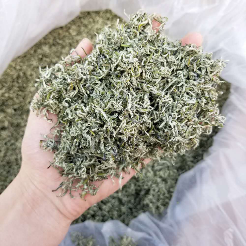 HelloYoung Fragrant Tea Alpine Yunwu Green Tea Wholesale Rizhao Fried Green Strong Tea