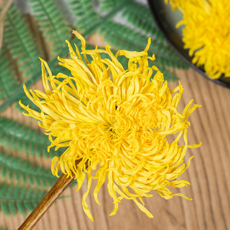 HelloYoung 100pc Emperor Chrysanthemum Flower Tea bag,Giant Golden JU HUA Big Blooming tea