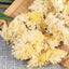HelloYoung Organic Healthy Herbal Tea Featured White Chrysanthemum 250g /500g 白菊花