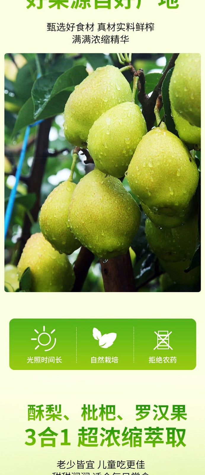 Ein Löffel Birnenpaste Loquat Autumn Pear Paste Nourishing
