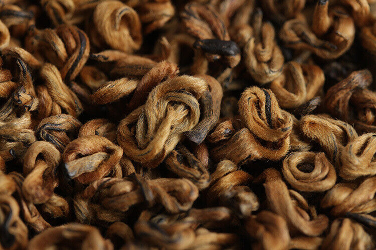HelloYoung 500g Yunnan black tea Fengqing Dian Hong Jin Luo (No. 2) early spring tea