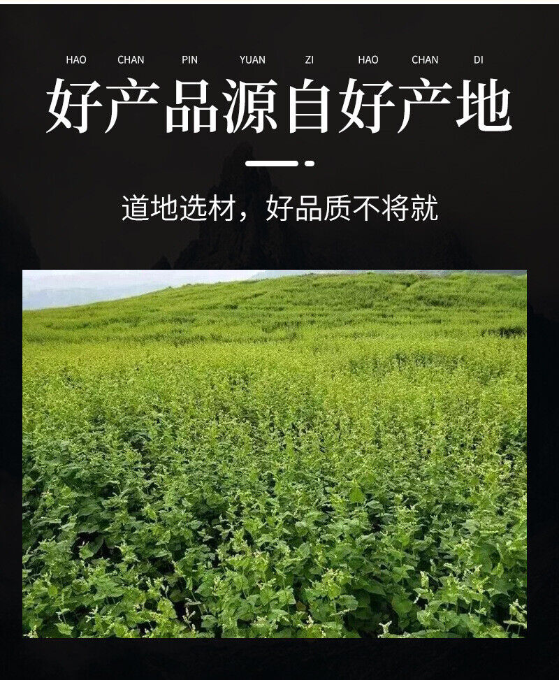 Daliang Mountain Buckwheat Tea Black Buckwheat Tea 450g/can  Healthy Drink