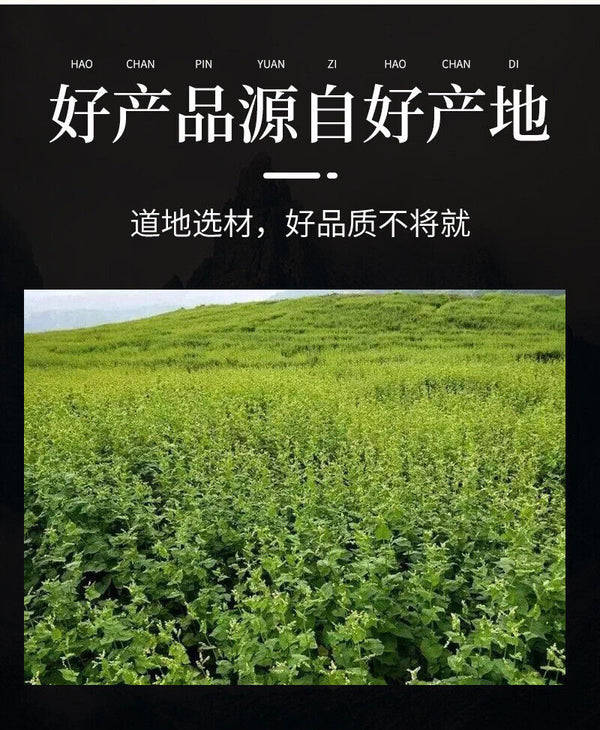 Daliang Mountain Buckwheat Tea Black Buckwheat Tea 450g/can  Healthy Drink