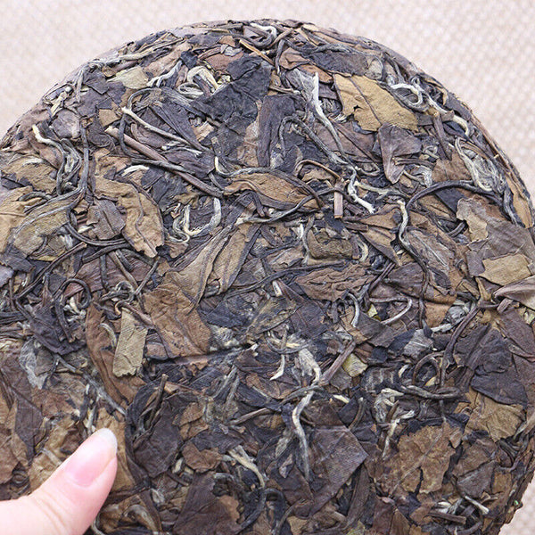 HelloYoung Healthy Drink Natural White Tea Cake Top Jujube 350g White Tea Lose Weigh