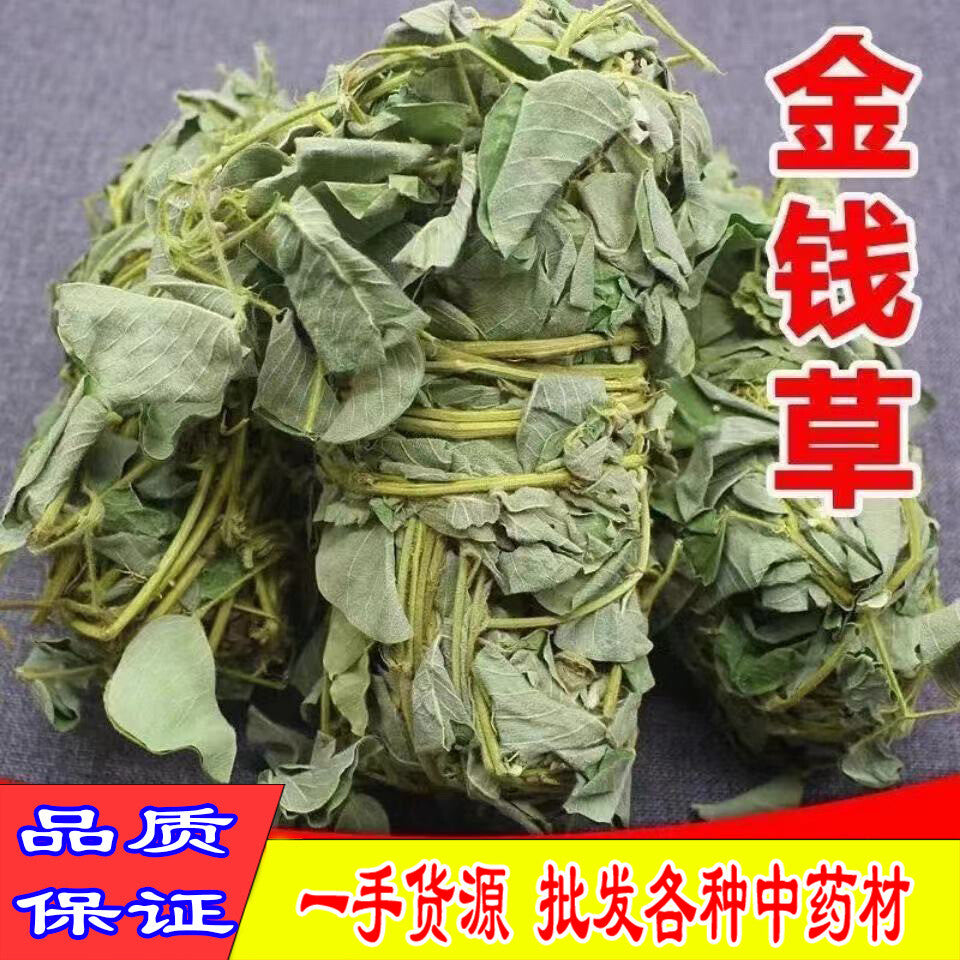 Wild Lysimachiae Herba Freshly Soaked in Water Non-sulfur Chinese Herbal Tea 金錢草 Main image