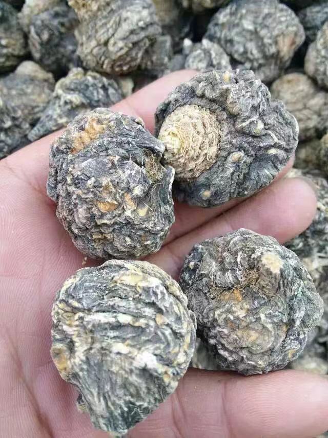 Extra Large Black Maca Kali River Maca Yunnan Maca Raw Materials Dried Fruit