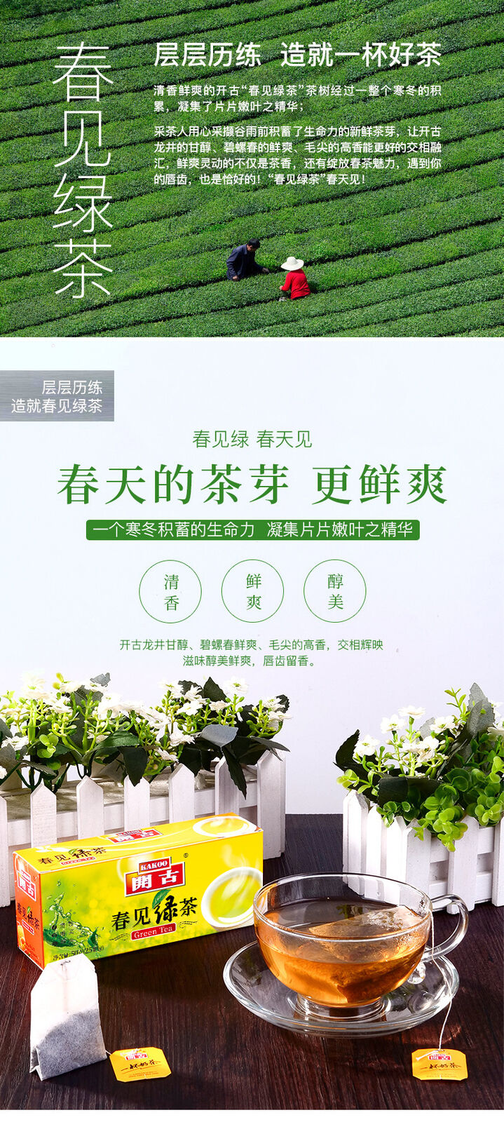 Premium Spring Green Tea 25 Bags Double Wrapped Tea Bags for Office and Hotel