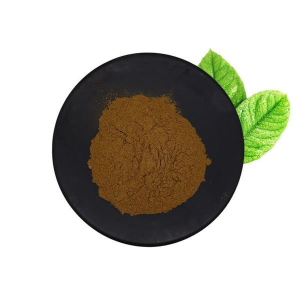500g Chia Seed Extract 10:1 Powder High Potency Natural Supplement