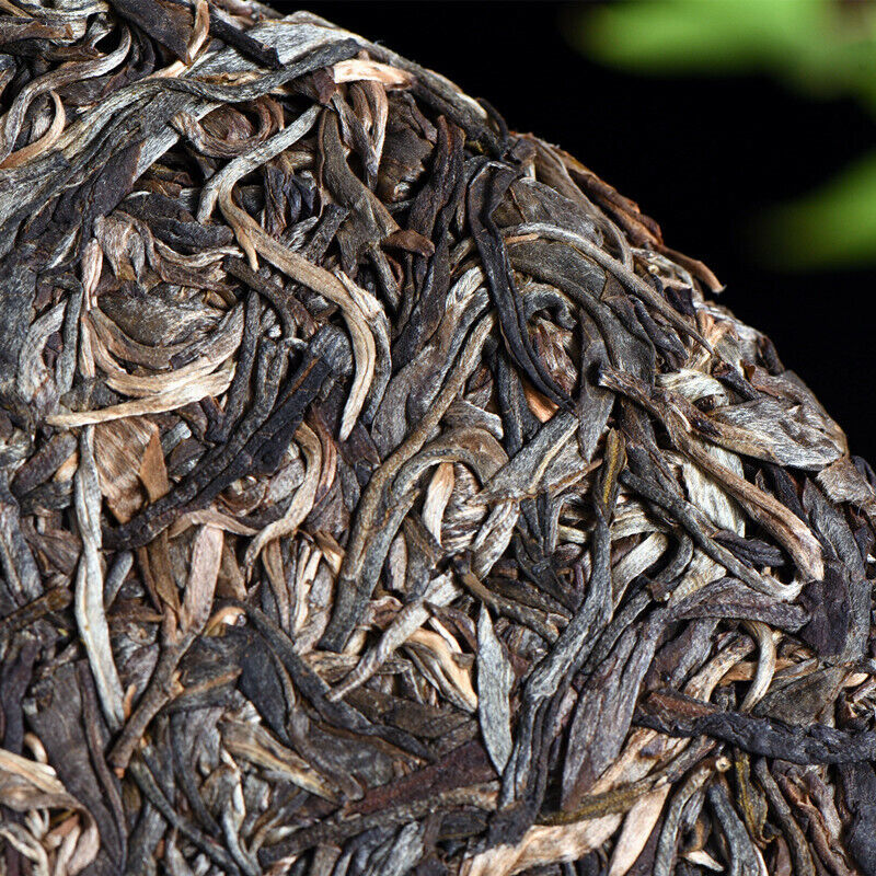 HelloYoung Pu'er Green Tea Premium Old Tree Tea Puerh Raw Tea Cake Old Banzhang 357g