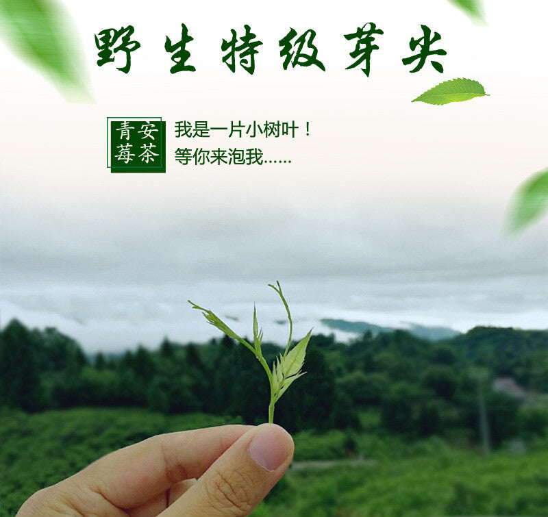 Canned Tujia Mao Rock Bud Tip Vine Tea Wild Tea Buds 50g Zhangjiajie Vine Tea
