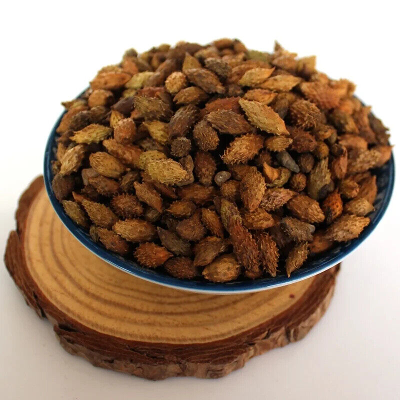 100% Pure Siberian Cocklebur Fruit  / Xanthium Sibiricum Herbs 250g Main image