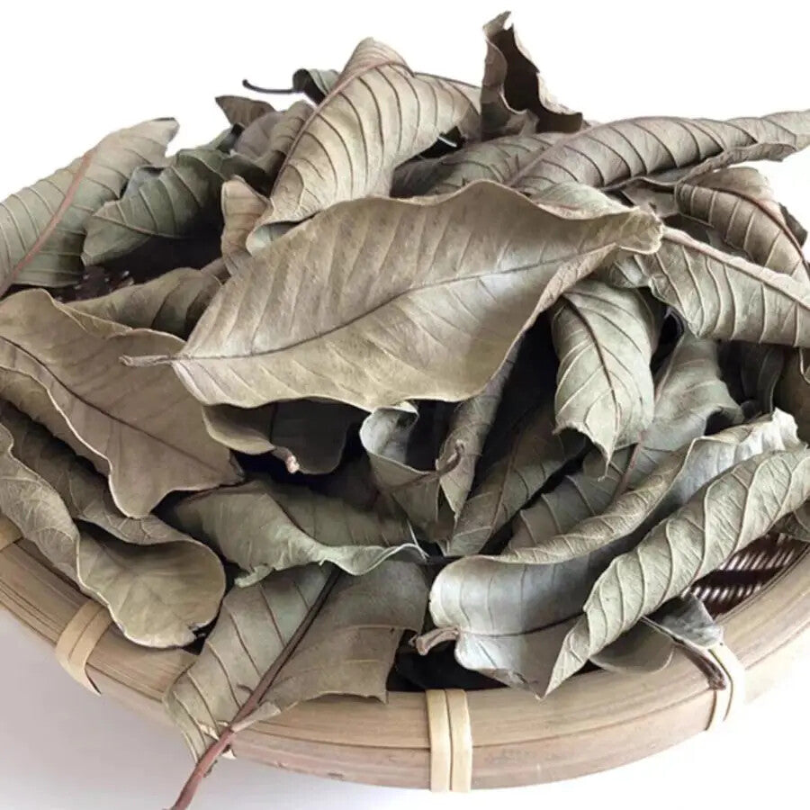 Organic Guava Leaf Tea Natural Psidium Guajava Linn Relieving Food Accumulation