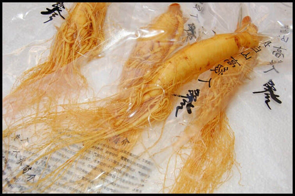10pc Fresh Panax Ginseng Root Premium Herbal Health Optimal Grade