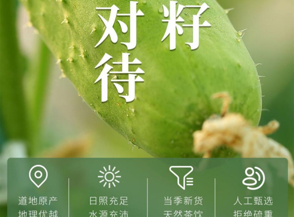 Without Additives Raw Cucumber Seeds 250g Pure Natural Cucumber Seed Powder