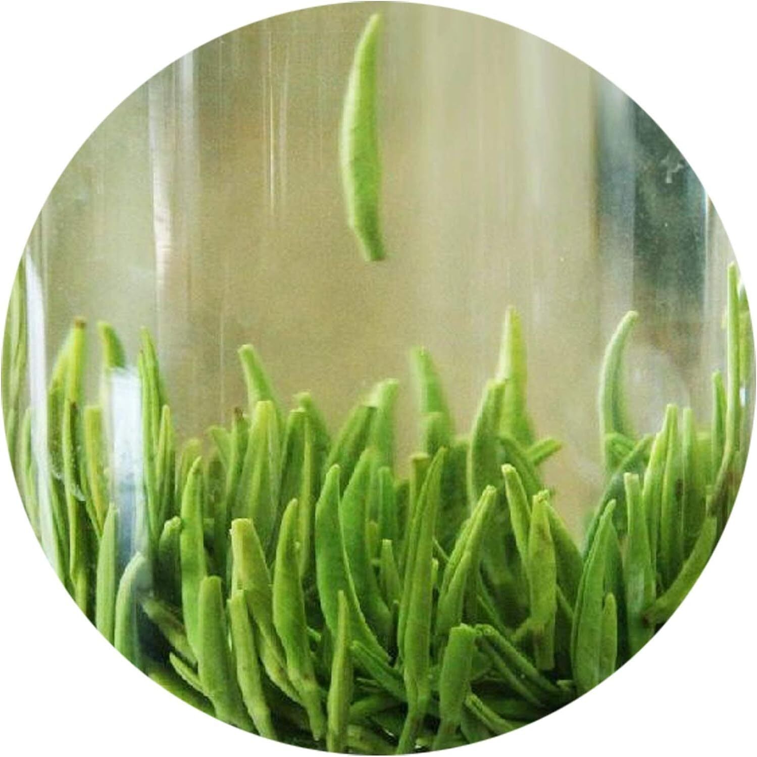 100g Emei High Mountain Spring Zhu Ye Qing Bamboo Loose Leaf Chinese Green Tea