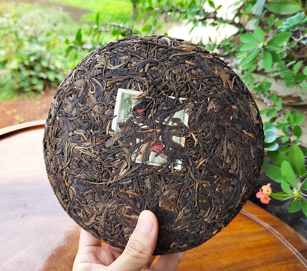 HelloYoung 357g Yunnan Old Raw Tea Pu'er Aged Gaoligongshan High Altitude Eco