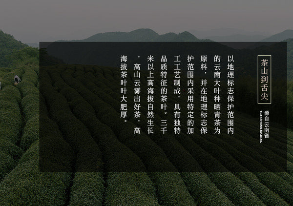 357g Jingmai Golden Bud Pu'er Ripe Tea  Pu'er Tea Cake Yunnan Pu'er Tea