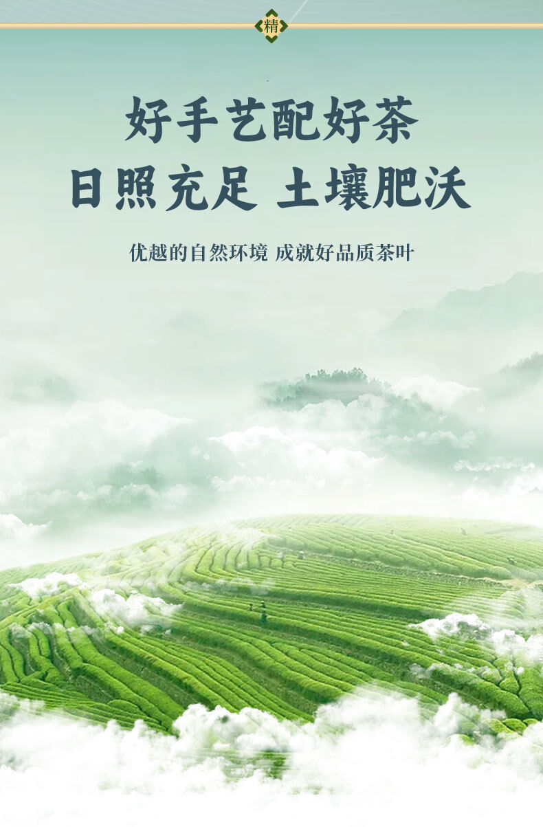 Organic Green Tea Yuhua High Quality Tea Exquisite Gift Box 96g
