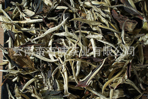 HelloYoung 500g Yunnan Jinggu Yangta Ancient Tree White Tea One Bud One Leaf Scattered Tea