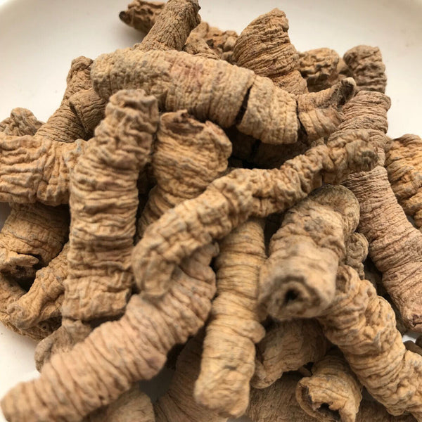 HelloYoung New Baji Tian Chinese Herbs Dried Baji 500g