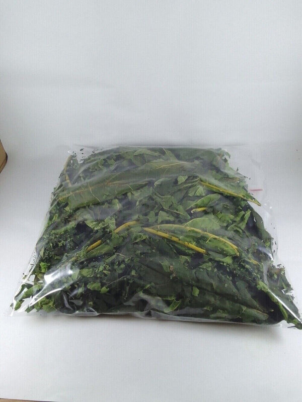 Dried Papaya Leaf Herbal Tea Made from Whole Leaves for Wellness and Digestion