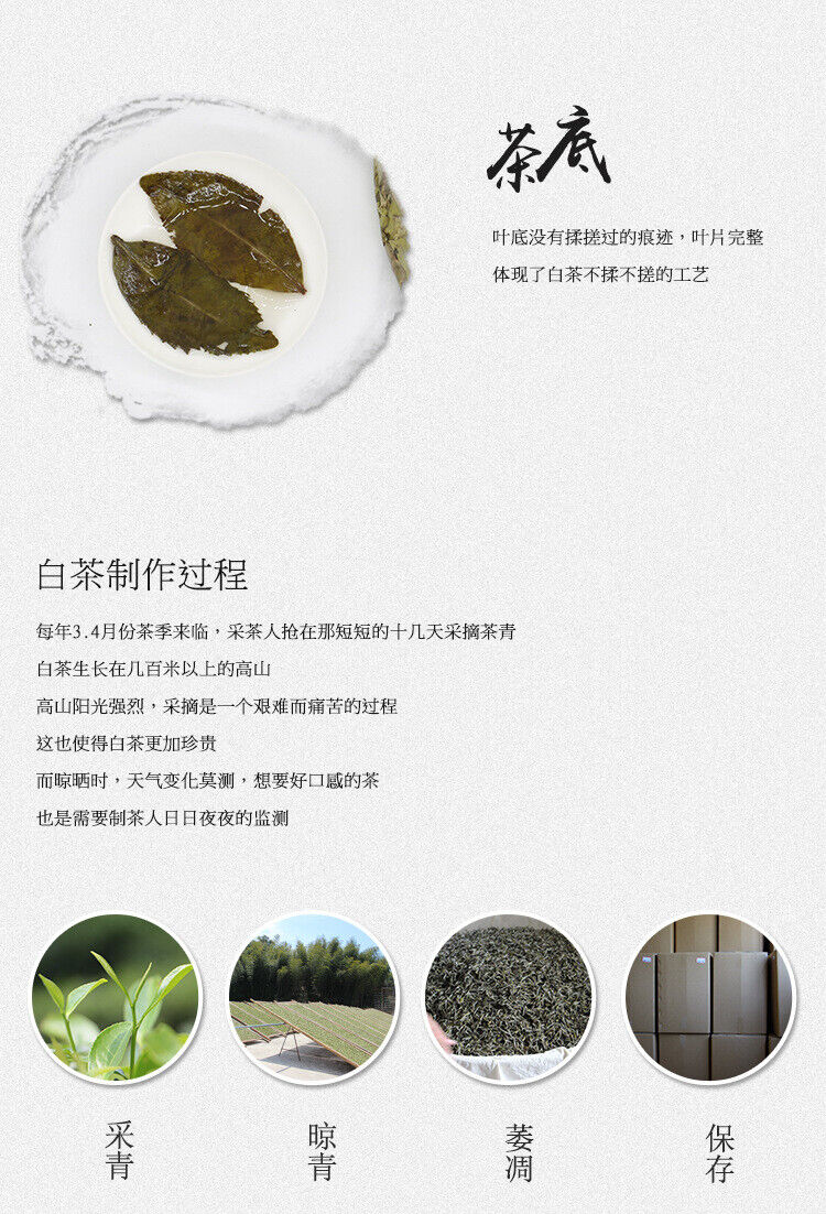Goldener Blatt Weißer Tee Minze Aroma Weißer Tee Organischer Antiker Baum 300g