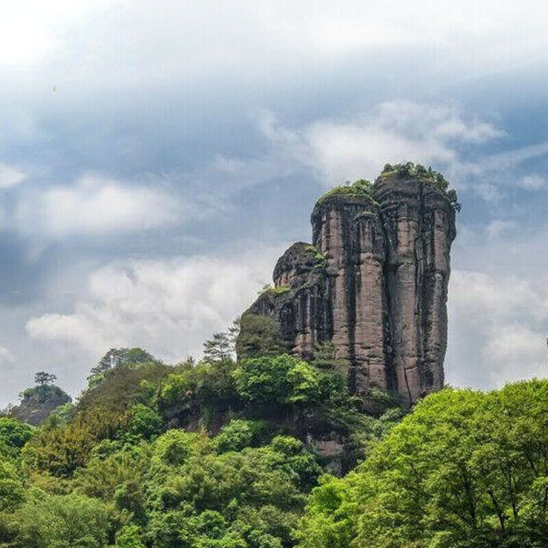 HelloYoung Tin Wuyi Rock Tea AT101 TAN CHUNG CHI CHONG Authentic Fujian Oolong Tea 125g