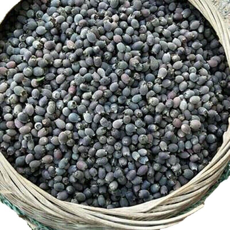 HelloYoung 250/500g Dried Rhodomyrtus Tomentosa Fruit, Dried Herbal Tea Renzi Tea Jinxiang