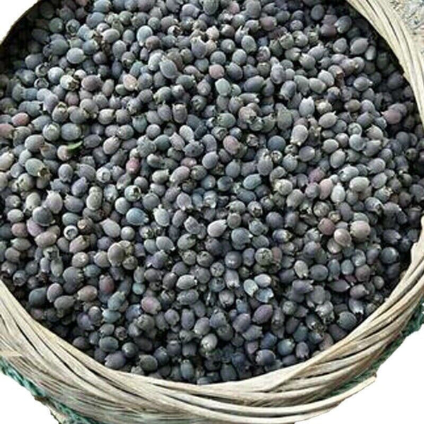 HelloYoung 250/500g Dried Rhodomyrtus Tomentosa Fruit, Dried Herbal Tea Renzi Tea Jinxiang