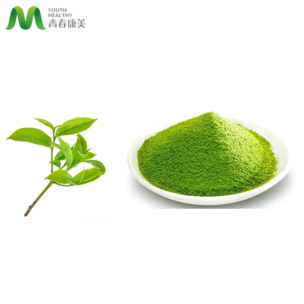 Drink Matcha Powder Pure Organic Green Tea Baking Without Additive Weight Loss
