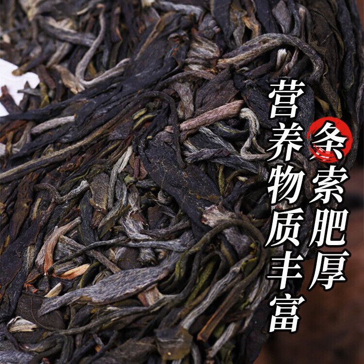 HelloYoung Yiwu Shafengzhai Green Aroma High Water End Soft Puerh Raw Tea 357g/12.59oz