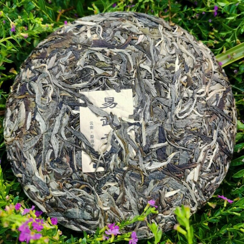 HelloYoung Health Care Natural Pu'er Tea Yiwuqingbing Organic Arbor Pu'er Tea 357g Main image