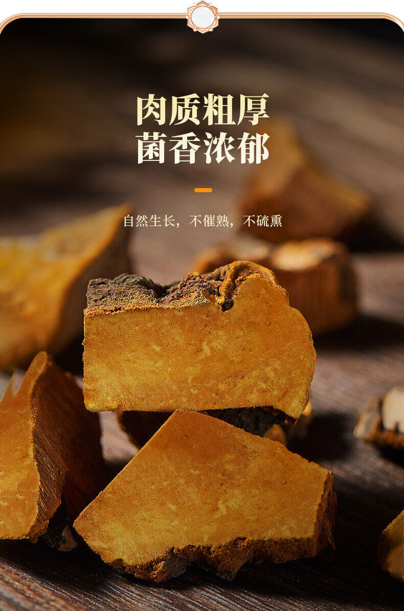 Natural Sanghuang Phellinus Linteus Health Tea Chinese Herbal Tea 50g