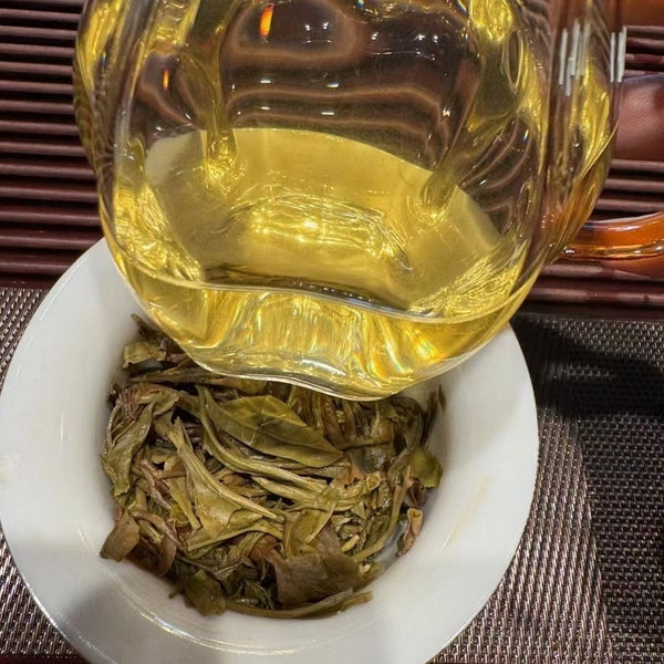 2019 Yibang Cat Ear First Flush Yunnan Pu'er Tea 200g Tuo Ancient Tree Raw Tea