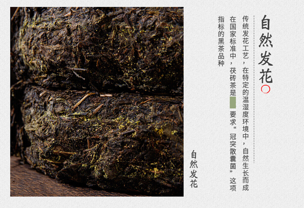 HelloYoung 1kg Anhua Black Tea Golden Flower Hand-Constructed Porcelain Brick Tea Tientsin