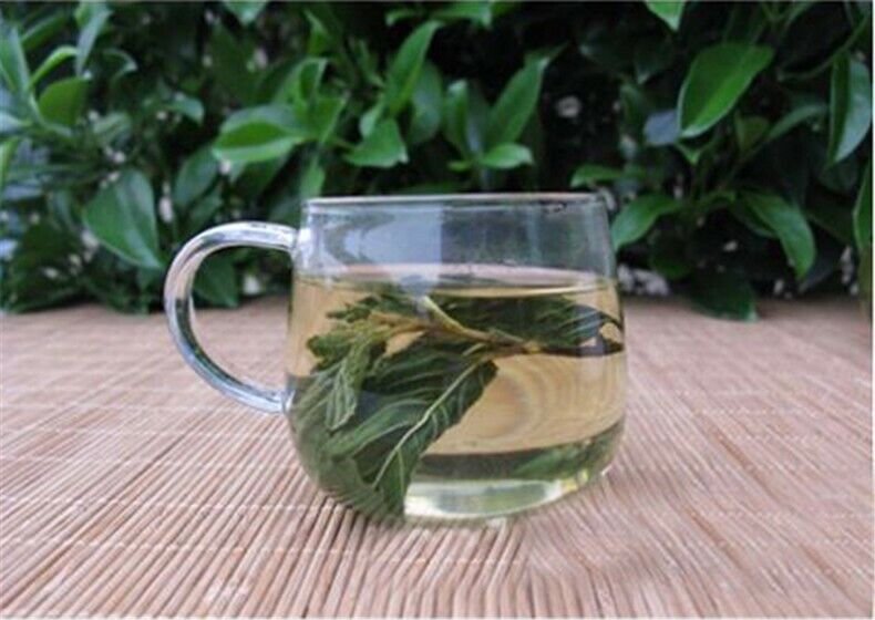 HelloYoung Premium Cool Mint Tea Herbal Tea Reduce Liver Fire Mint Leaves Wild Mint tea 50g