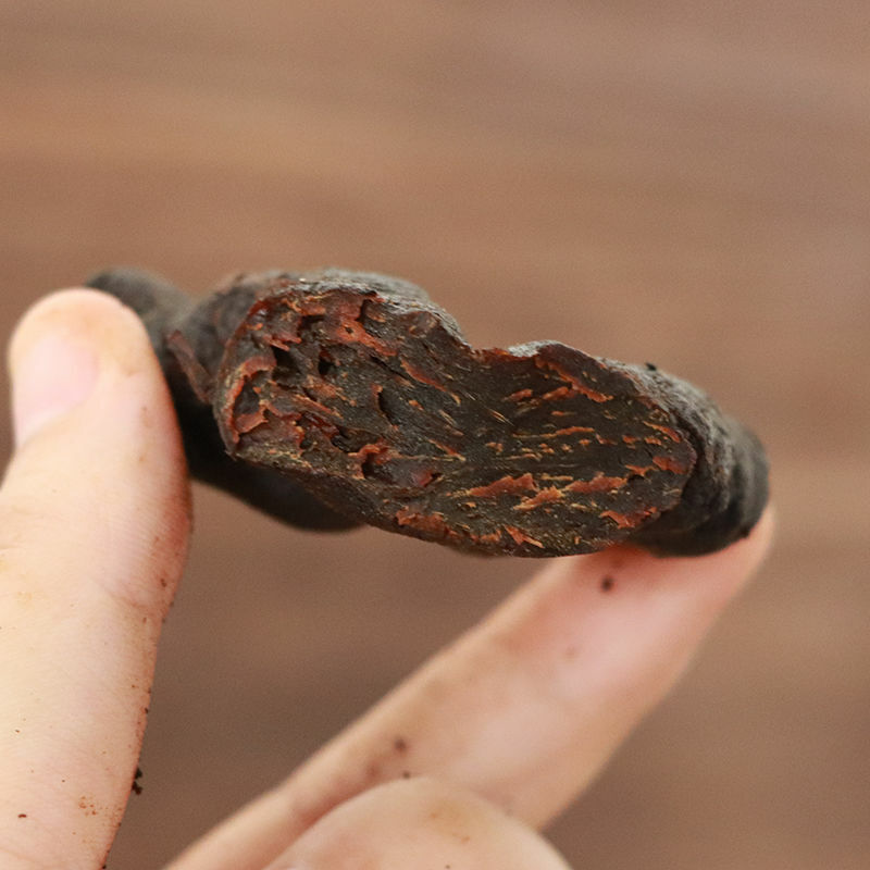 HelloYoung Organic Huangjing Herbal Tea Chinese Herbal Medicine Tea Health Care Soup 250g