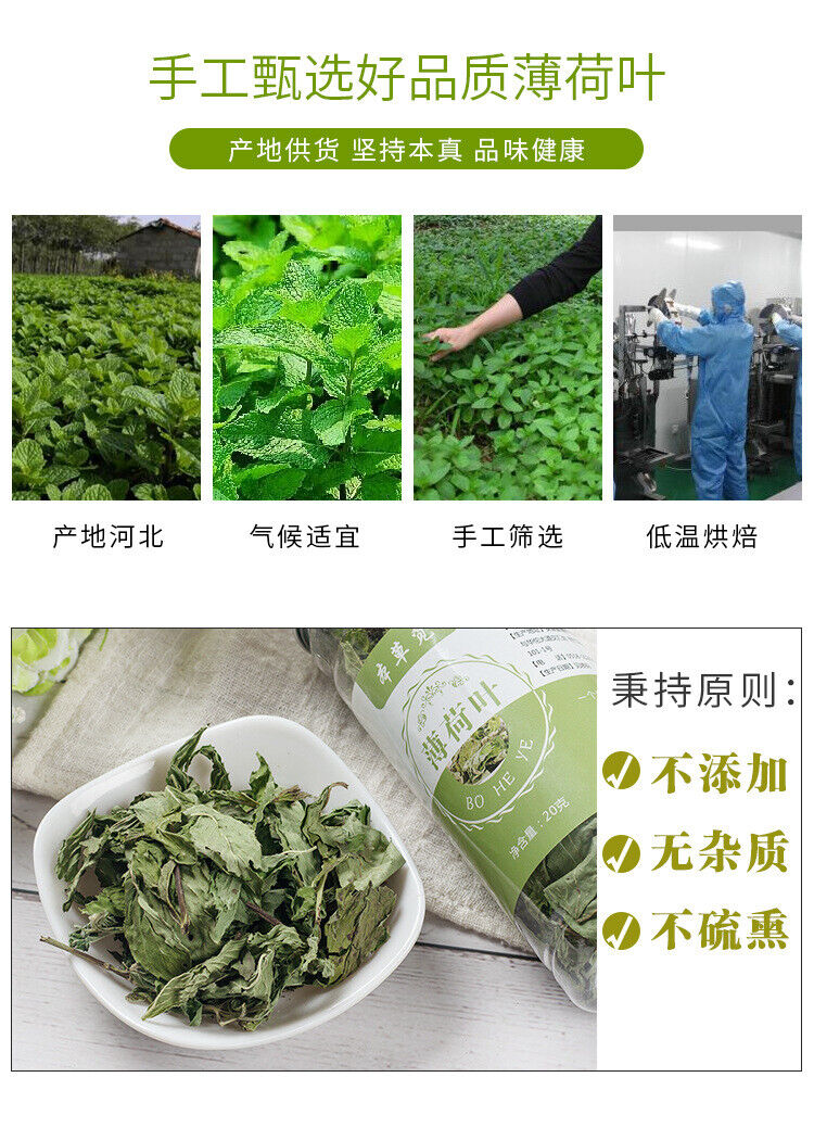 HelloYoung Mint Leaf Mint Tea InfusionDried Mint Leaf Blend Tea Infusion 20g