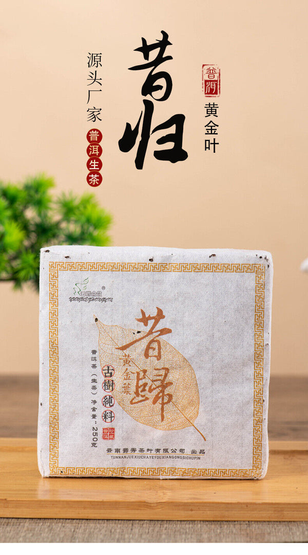 HelloYoung 250g Xigui Golden Leaf Puerh Raw Tea Brick Yunnan Ancient Tree Pu'er Tea